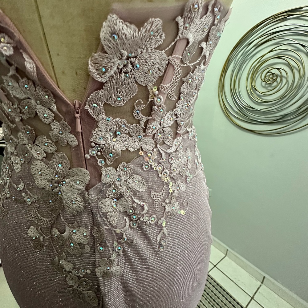 2x$70- Elegant Blush Lace Appliqué Evening Gown - Picture 6 of 6
